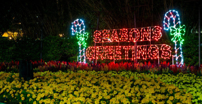 Lake Eola Lights during the holidays