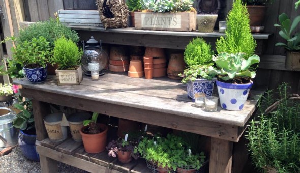 Plants on Display at Loch Haven