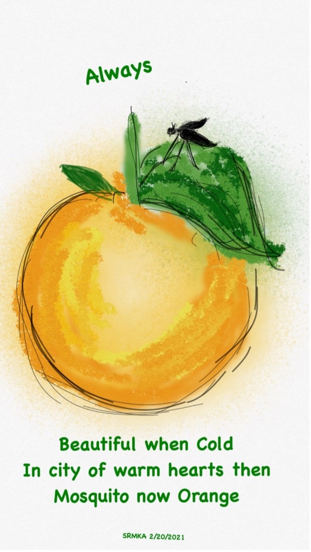 Artwork of a mosquito on an orange