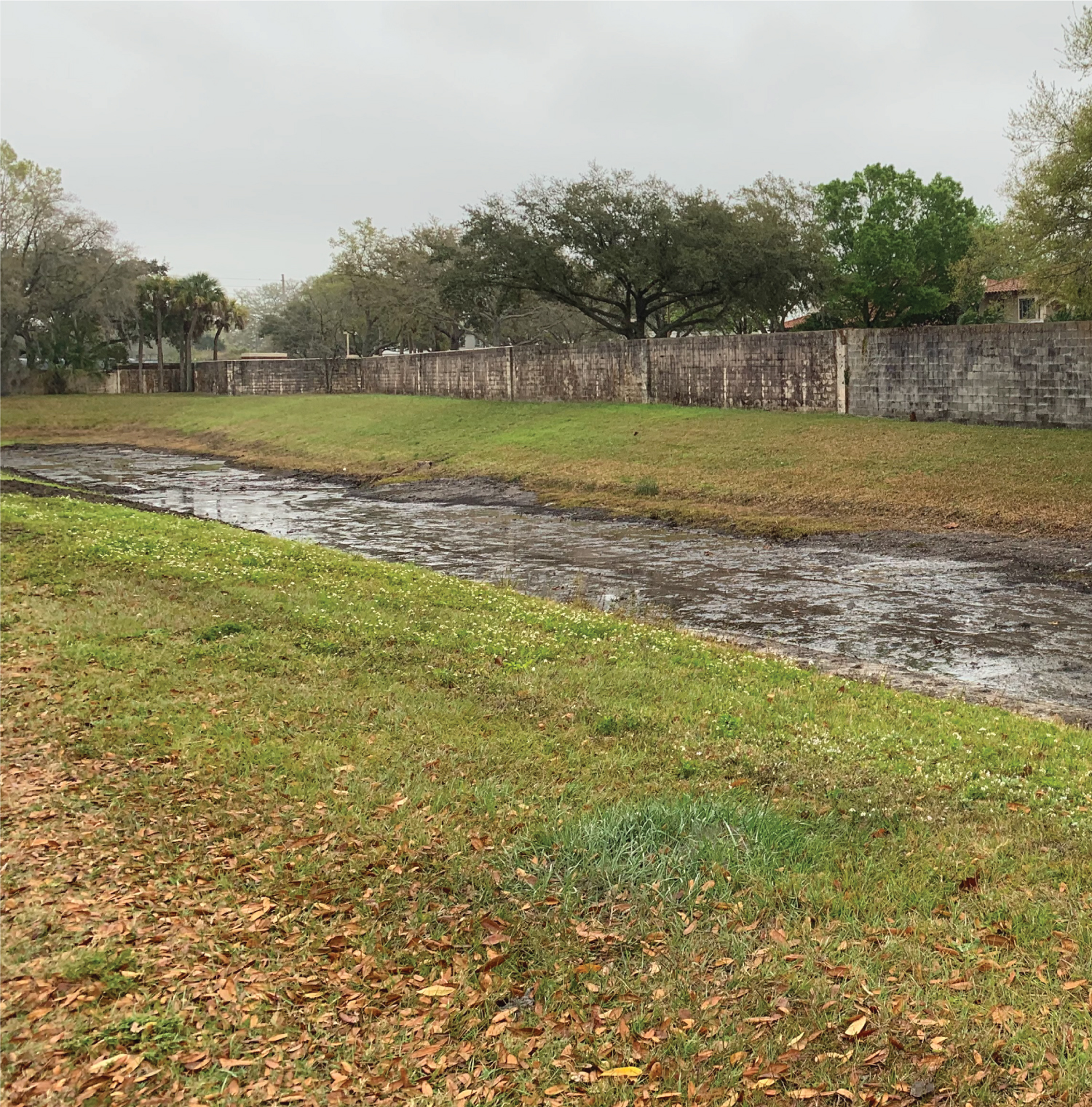 dry pond cleared and with water