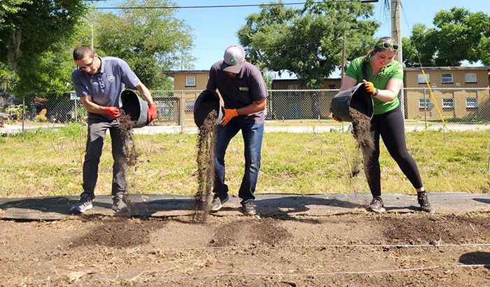 Three volunteers adding soil to the South Street Urban Farm