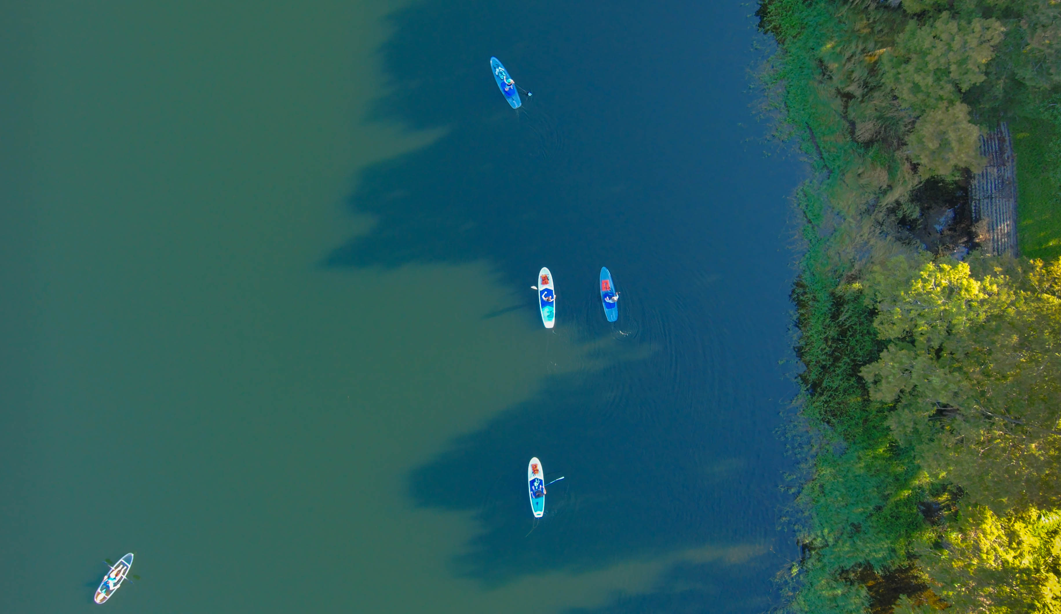 lake-ivanhoe-park.jpg