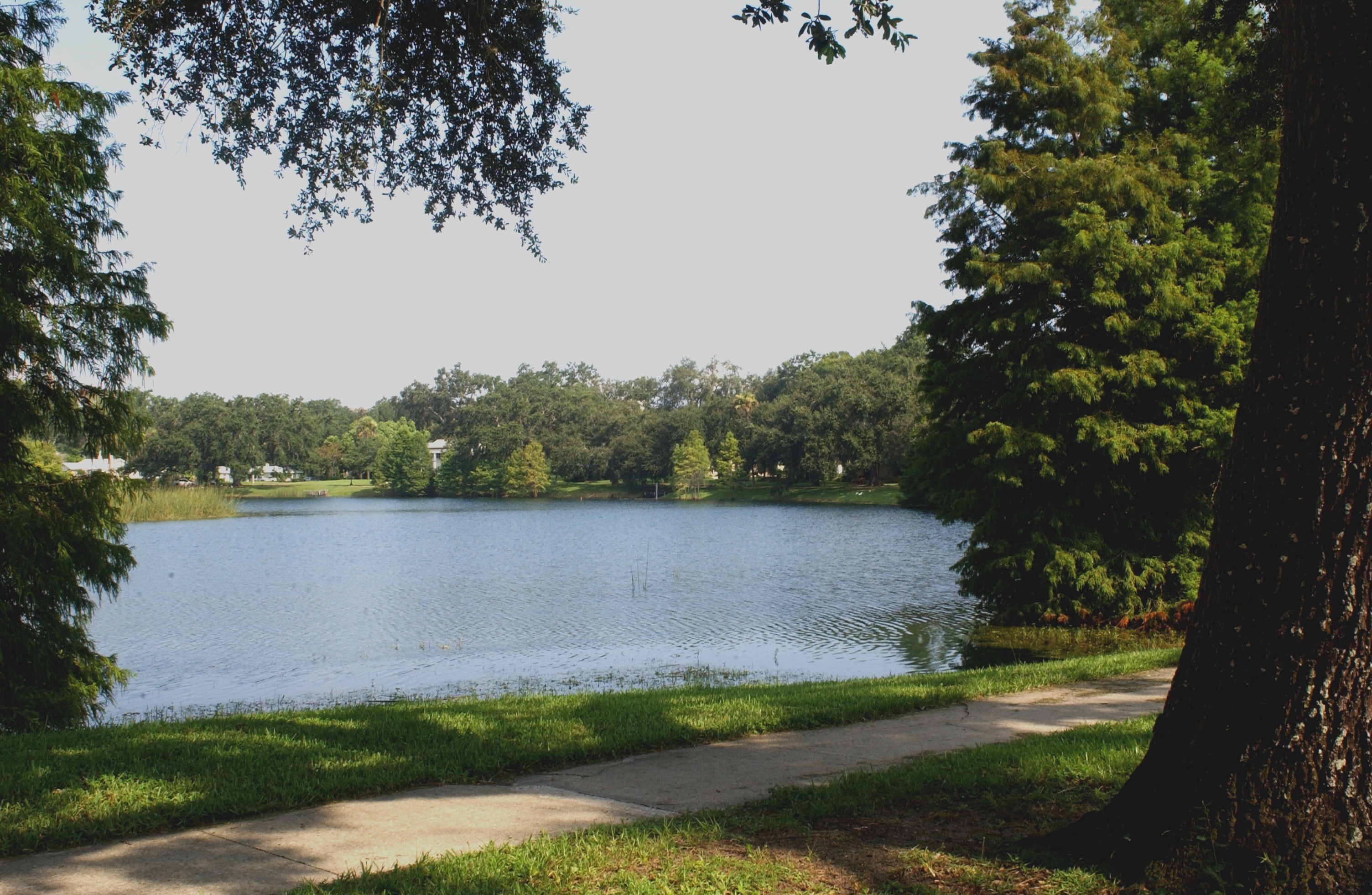 shoreline of lake with walking path and trees