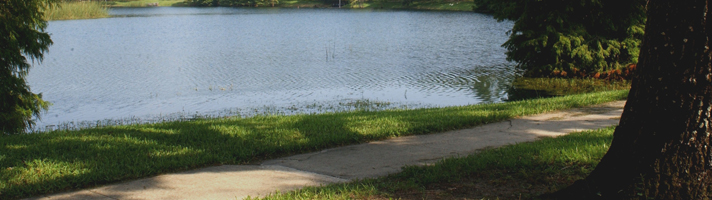 shoreline of lake with walking path and trees