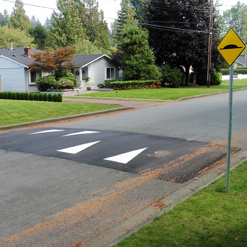 Speed Hump or Speed Cushion - City of Orlando