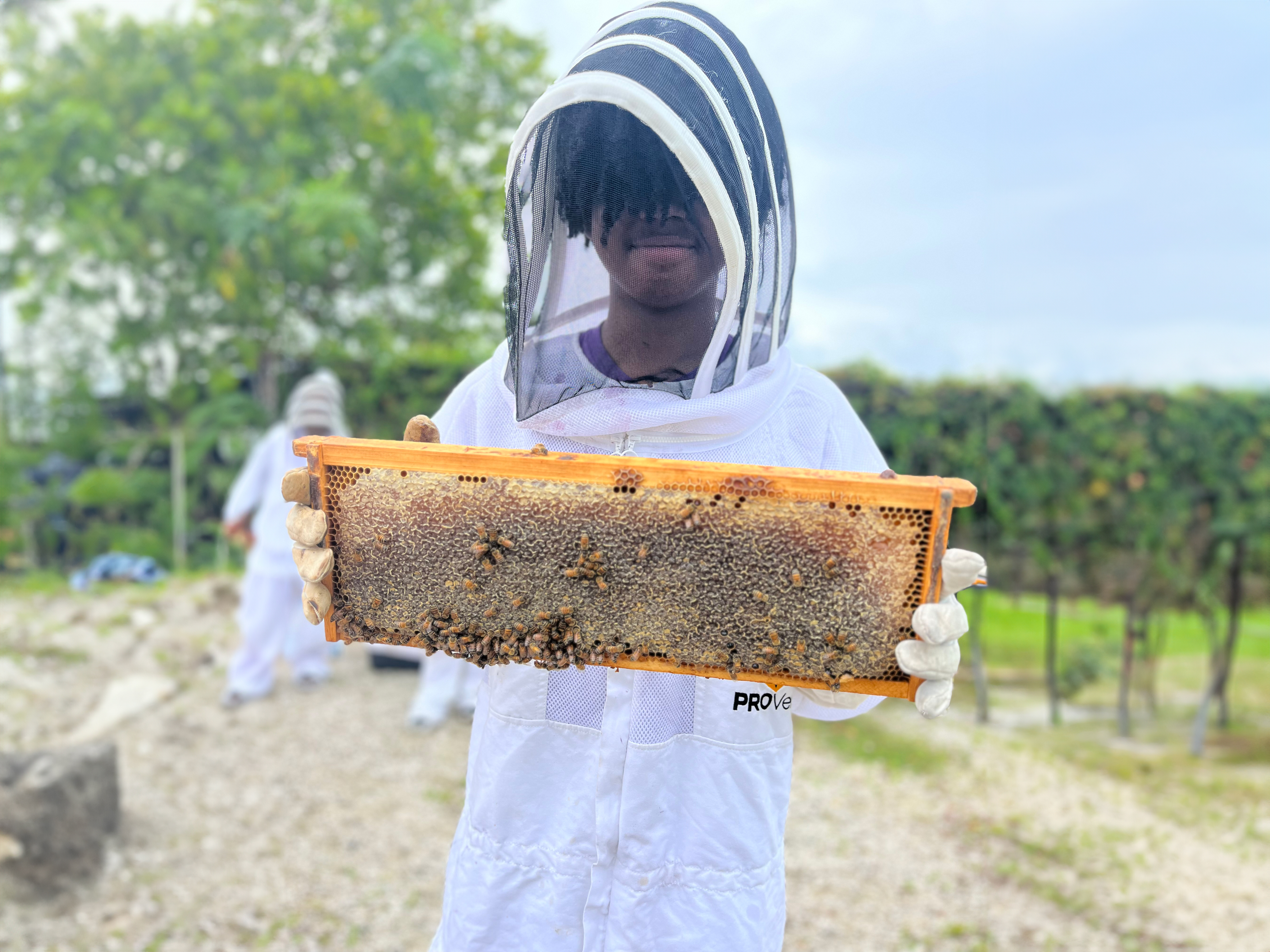 Teen with honeycomb